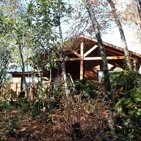 הוילה לאס טראנקס Cabana Bosque Viejo מראה חיצוני תמונה