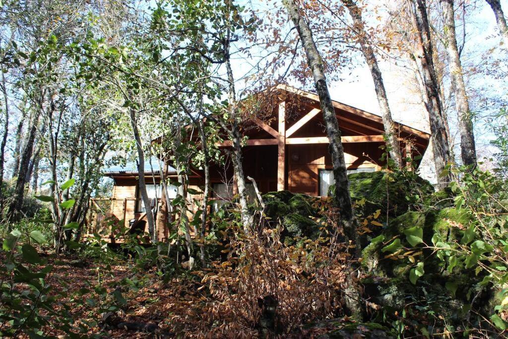 הוילה לאס טראנקס Cabana Bosque Viejo מראה חיצוני תמונה